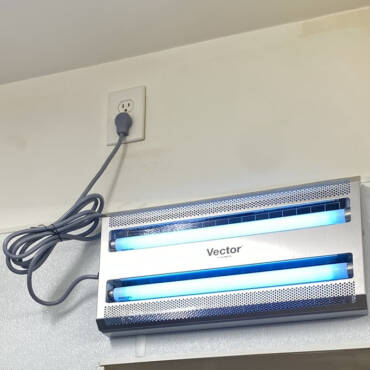 Insect Light Traps- The Basics